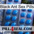 Black Ant Sex Pills viagra2